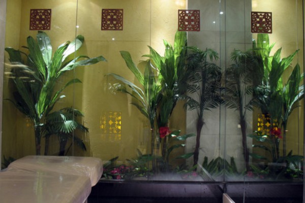 桑拿成都夜享养生之旅(夜成都养生spa怎么样)